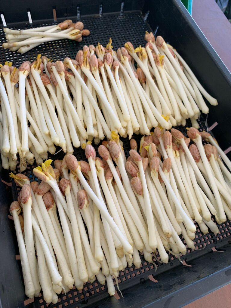 8b0e3175 e1b2 4da7 be4a 2b26f70d7a6a